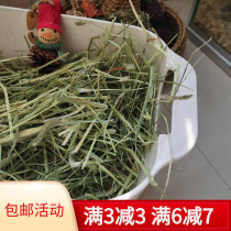 Imported Anderson Timothy Moses doubled down on the west pasta the rabbit dragon cat guinea pig and the goat and the meme.