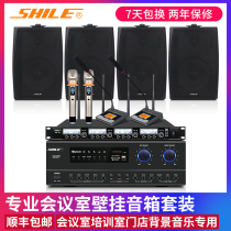 Lion Music AV108 BX105 conference room amplifier sound set Shop background music wall-mounted speaker combination