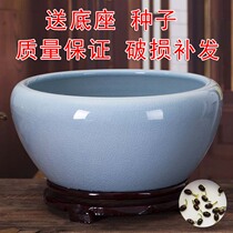 Jingdezhen ceramic fish tank turtle large desktop goldfish tank water lily bowl lotus bowl lotus flower pot Narcissus porcelain pot porcelain tank