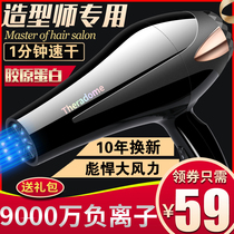  Theradome Hair dryer Negative ion hair care stylist Professional hair salon Barber shop Household high-power hair dryer