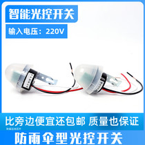 Outdoor light control switch 220V rain-proof light induction controller Light-sensitive switch Street lamp automatically lights up at night when it is dark