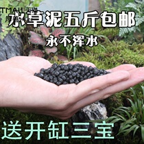 Amazon water grass black algae mud nutrient soil fish tank plant landscape bottom crystal shrimp Clay Clay Clay sand sand ada base fertilizer