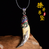 Inlaid true black dog tooth necklace Womens fashion brand hip-hop wolf tooth phoenix pendant Female personality portable national style