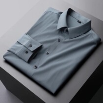 Tide brand long sleeve shirt mens spring and autumn new high-end non-iron solid color shirt mens business casual top