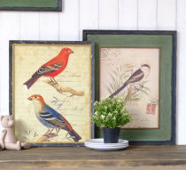 American French pastoral retro living room framed painting flower bird decorative painting living room wall painting background wall porch painting