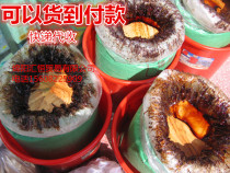 Pure raw lacquer earth lacquer big lacquer raw lacquer without adding guarantee quality RMB75 -3 hours left and right drying