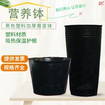 Plastic film seedlings green vegetables watermelon seedlings round cups bagged household nursery pots vegetable grape seedlings