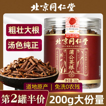 Beijing Tongrentang Dandelion Root Tea Tong Breast Mother-in-law Tea Non-Changbai Mountain Super Wild Flagship Store