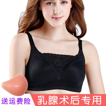 Yuanjia post-breast surgery special bra fake chest female silicone fake mastectomy prosthetic bra two-in-one summer