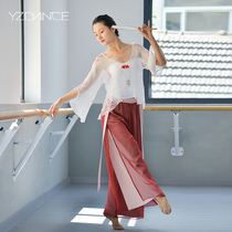 Eiko classical dance elegant short cardigan printed gauze clothing body rhyme clothing Chinese folk dance practice clothing dance clothing female