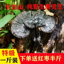  Changbai Mountain natural wild premium Ganoderma lucidum one kilogram of authentic black Ganoderma Lucidum dry goods whole 500g gift box