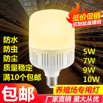 Laying hens special led bulb super bright farm warm light chicken house pig farm lighting light energy saving LED bulb