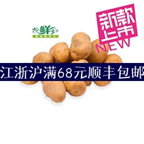 Fresh vegetables Mini small potatoes 500g Yellow Pie potatoes Jiang Zhejiang and Shanghai Five catties