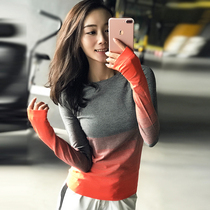 Fitness top womens thin quick-drying long-sleeved gradient color elastic crew neck running yoga suit Running sports t-shirt