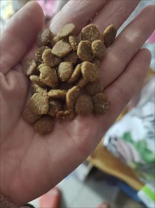 真心分享比乐狗粮犬主粮优缺点如何?真实经历爆料诉说