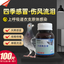 Pigeon cough and wheezing with medicine single eye cold and tears respiratory tract pigeon medicine clothes original two-day net dove medicine Grand total