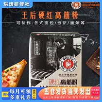 Queen Hard Red High Gluten Powder 1kg Toast Special Wheat Flour Pizza Noodle Steamed Bread Home Baking Raw Material
