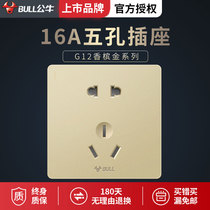 Bull two 10A Ann hole 16A Ann 5 five hole socket two three-prong recessed wall switch socket panel