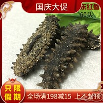 Japan Hokkaido Kanto Sea cucumber sea cucumber sea cucumber red ginseng 6 rows of thorns 40-60 pure light dry thorns thick hair