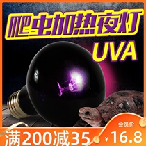 Reptile supplies Reptile box Tortoise box Night heating light uva insulation light Lizard snake Tortoise night light 25W