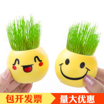 Long Grass Doll QQ Expression Potted Children Creative Green Grass Plant Elementary School Students Prize Kindergarten Gift Small Gift