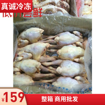 Frozen three yellow chicken 817 boy chicken 7 to 18 large quantity from excellent Jiangsu Zhejiang Shanghai and Anhui