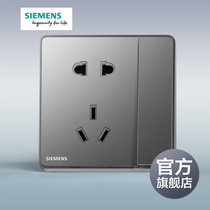 Siemens switch socket Ruizi Aurora gray 10A five-hole with single control switch official flagship store