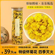Huaifu Street authentic premium Huai chrysanthemum with gifts Henan Jiaozuo specialty ice chrysanthemum yellow chrysanthemum flower Chrysanthemum Yuntai Tea field