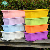 Household water lilies vegetables plastic chlorophyll absorbent green dill green plants balcony flower pots planting boxes personalized strawberries