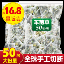 Triangle bag of chagrass tea fresh plant dried 50 packs of Chinese herbal medicine