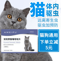 Cat anthelmintics in vivo deworming drugs in vivo and in vitro deworming in kittens