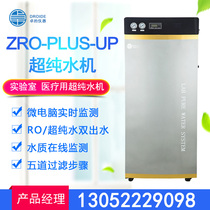 Ultra Pure Water Machine Sterile Water Laboratory Reverse Osmosis Distilled Water School 120L Deionised Water