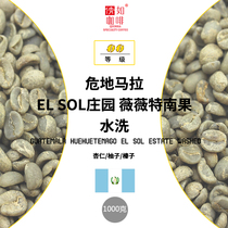 21 Season 1kg Coffee Green beans Guatemala Viviten Fruit EL SOL Estate washed SHB EP