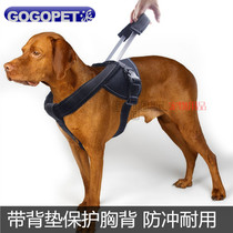 Large new guide dog big dog chest strap retractable buffer traction rope golden retriever auxiliary dog walking rope
