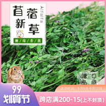 21 years of first stubble alfalfa young rabbit hay feed rabbit grass Chinchilla grass rabbit grain pasture