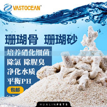 Boutique Coral Bone Fish Tank Filter Material Filter Material Bacteria House Biochemical Ceramics Globe Water Purification Coral Stone Head