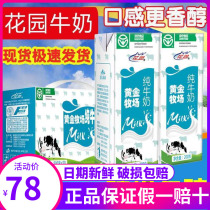 Xinjiang milk Garden gold pasture pure milk official flagship store breakfast milk 200g * 20 boxed whole box