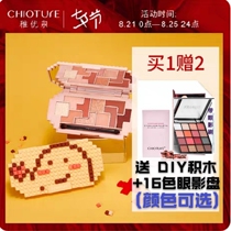 Zhiyouquan retro ten-color eye shadow tray Building blocks Earth color matte pearlescent broken shiny sheet Affordable student beginner