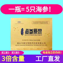 6A Sea Cucumber Original Slurry Penglai Organic Authentic Shandong Oral Drinking Baozhong Baohai San Gift Box Nourishing