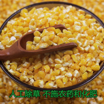 Dazi Northeast Farmers self-produced corn porridge rice stubble 5kg of new goods
