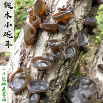 2021 Northeast basswood black fungus Daxinganling small Bowl ear dry meat thick non wild autumn ear 500g