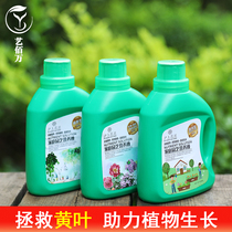 Nutrient Flower Fertilizer General Potted Plants Home Gloo Wealth Tree Wealthy Bamboo Multi-Meat Flower