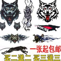 Motorcycle sticker personality modification waterproof reflective ghost fire electric body decoration creative fuel tank luminous decal