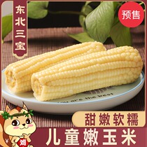 (New pre-sale)Corn cob 10 childrens tender glutinous corn vacuum bagged sweet glutinous small corn cob bud rice cob
