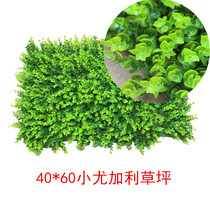Encrypted simulation plant wall lawn can be spliced block lawn eucalyptus wall decoration wall hanging forest