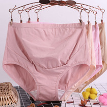 Pregnant Womans Underwear Pure Cotton Gestational Mid Pregnancy Early Stage High Waist Plus Fat Increase Code 200 Catty Lingerie Pregnancy
