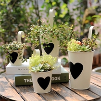 Nordic retro tin fleshy flowerpot flower bucket hanging iron bucket wall hanging dried flower Flower zakka idyllic flower