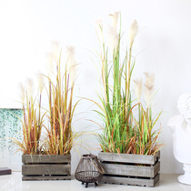  Sicily simulation green plant reed grass Large floor-to-ceiling potted plant Interior decoration plant Home office shop