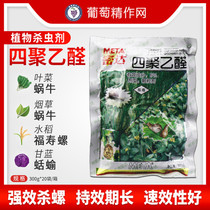Mida snail snail snail slug snail slug slug pesticide insecticide