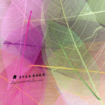 Natural Leaf Vein Shooting Props Foliage Photography Props Dry Flowers Photo Props Flowers 10 slices multicolor full 58